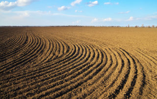 Agricultura Paneles Solares