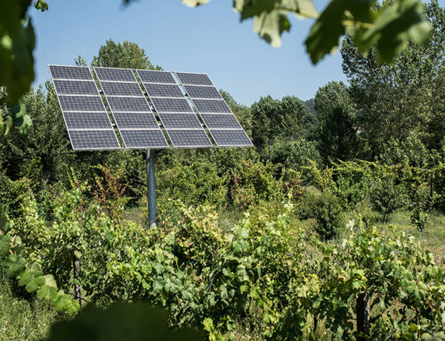 ¿Cuánto duran los paneles solares?