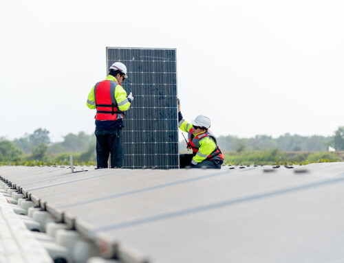 Conoce cómo realizar el mantenimiento adecuado de tus paneles solares