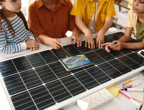 ¿Qué es y cómo funciona un panel solar?