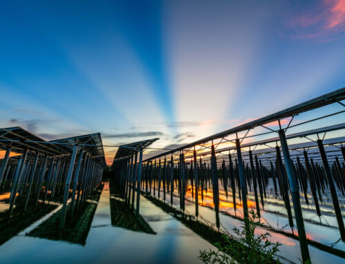 Radiación Solar: El Poder Inagotable del Sol Como Fuente de Energía Renovable